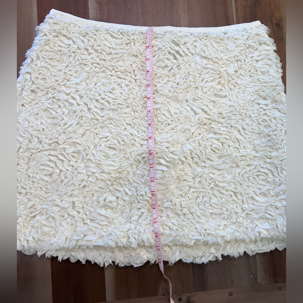 Anthropologie Plush Tulle Mini Skirt - Picture 8 of 11